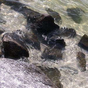 Meet your Posher, Dani